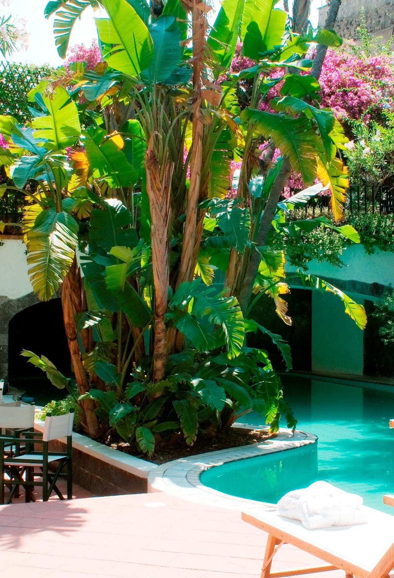 Hotel La Villarosa Terme Ischia Bagian luar foto